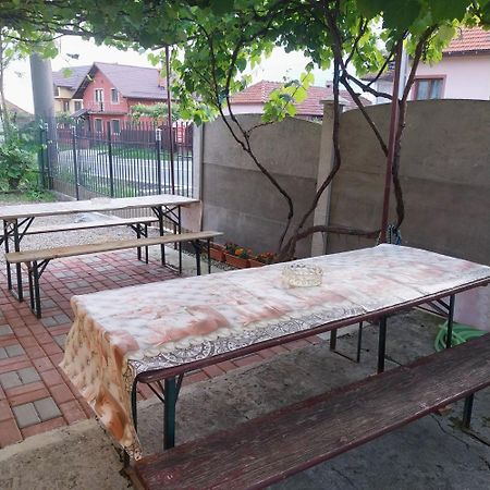 Casa Andreea Hotell Novaci-Străini Eksteriør bilde